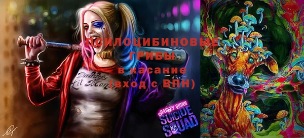 метадон Инта