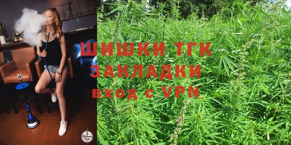 метадон Инта