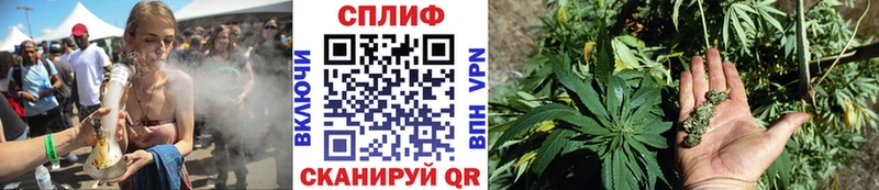 МАРИХУАНА семена  Купить где  Лодейное Поле 